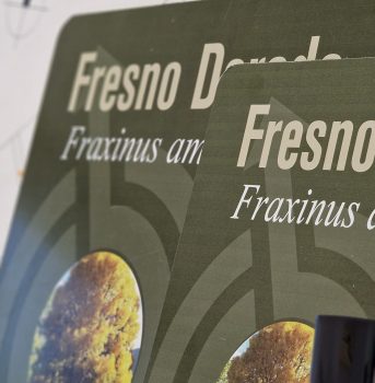 fresnos